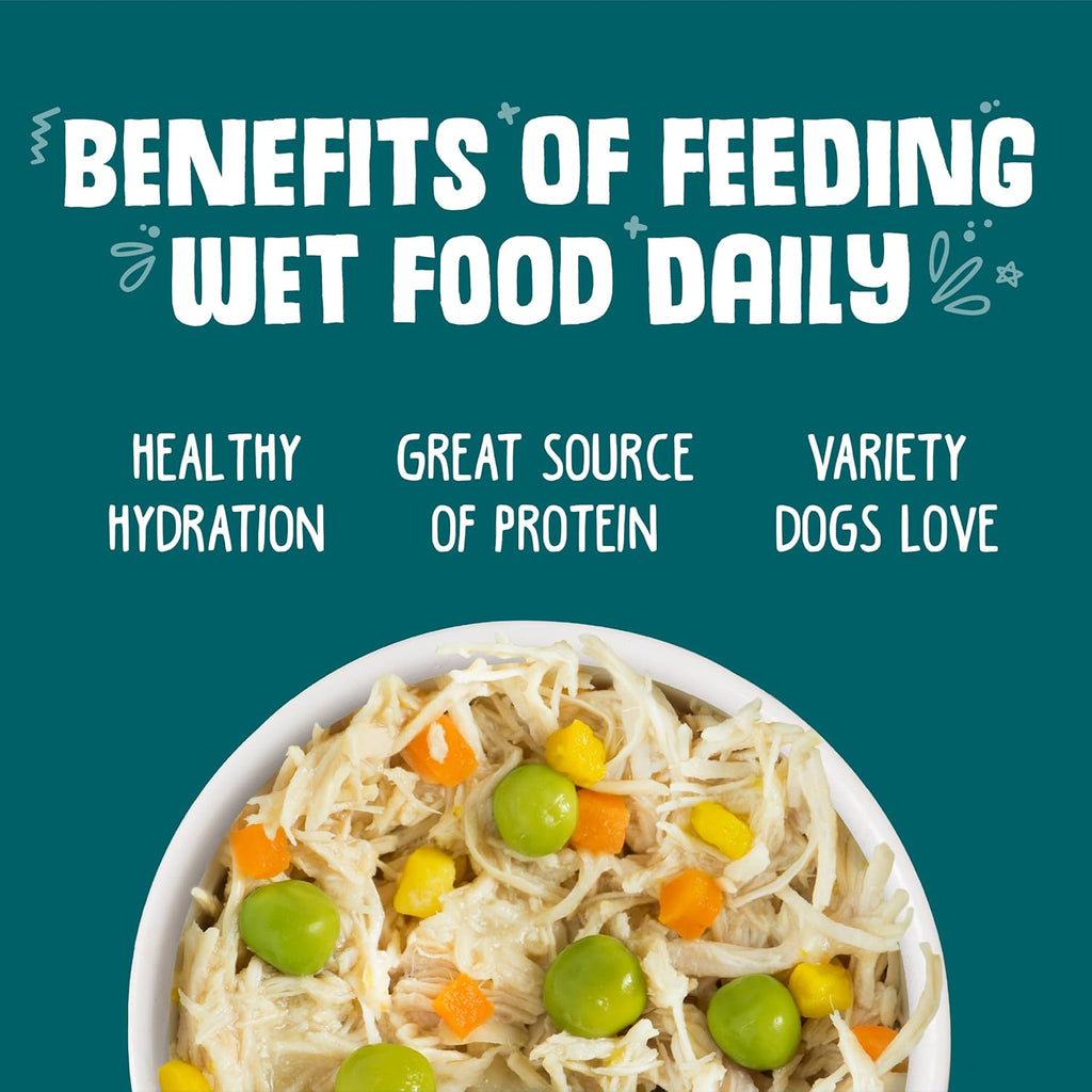 Classic Dog Food, Funky Chunky Chicken Soup with Chicken Breast & Pumpkin in Gravy, 14Oz Can (Pack of 12)