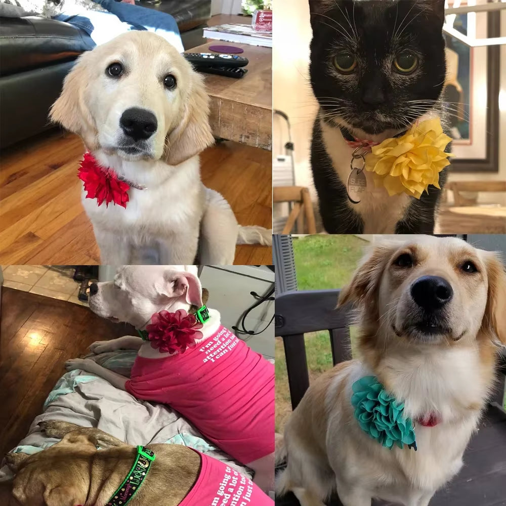 Bulk Flower-Collar Dog Accessories Dog Bow Tie Pet Dog Collar Accessories Flower for Dog Collar Dog Flower Collar Accessory