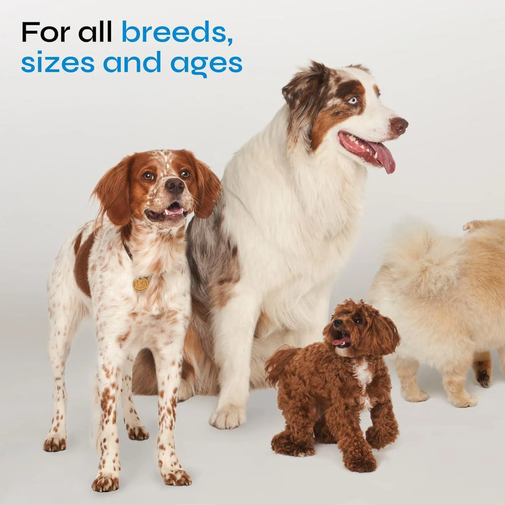 Dog Probiotic Chews - Digestive Health & Immune Support Soft Treats with Wild Yam & Yeast Powder - Bowel & Diarrhea Relief
