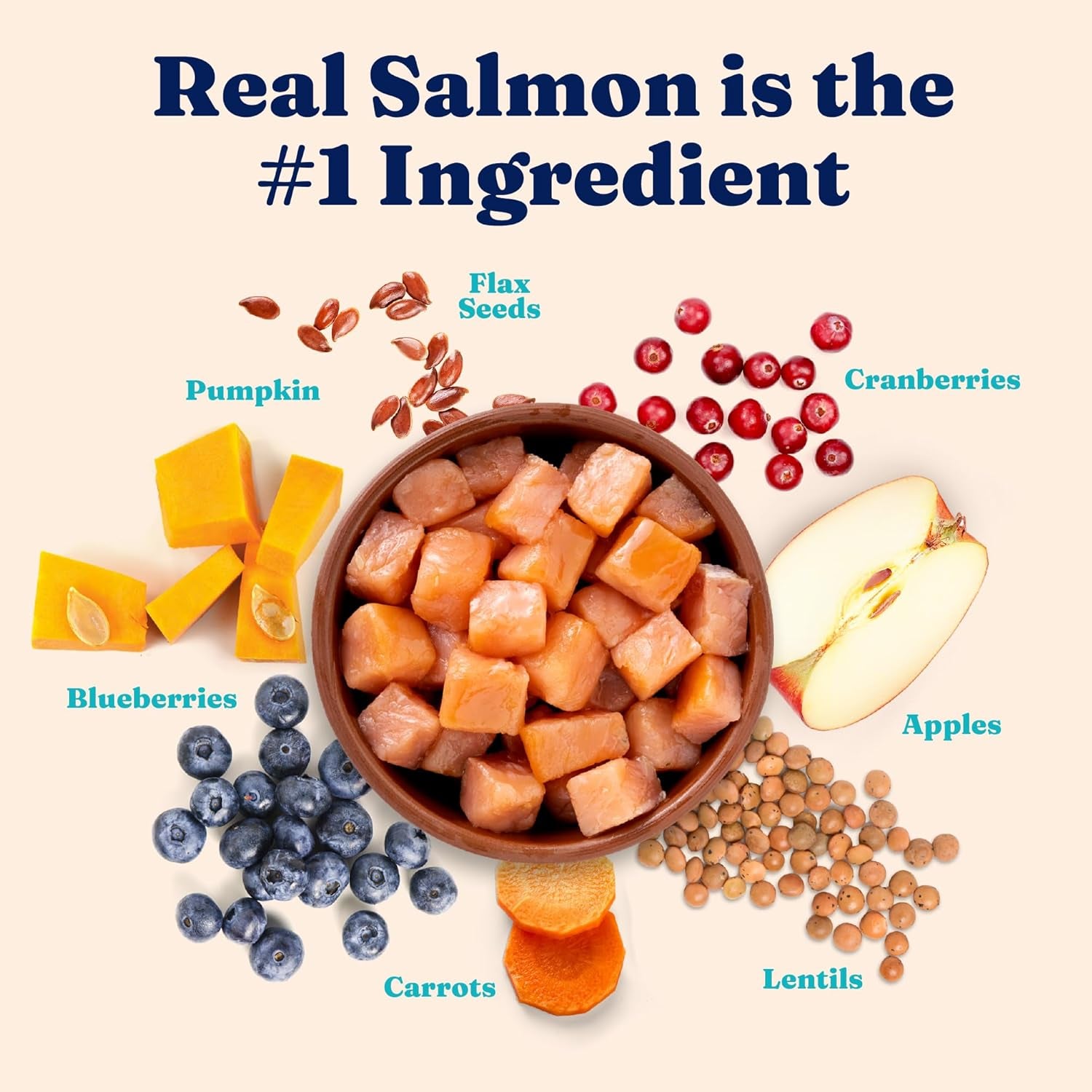 Indoor Dry Cat Food - Grain Free & Gluten Free - Salmon Cat Food Dry Kibble for Indoor Cats for Gut Health - Sensitive Stomach & Hairball Support for Adult Cats - 12LB