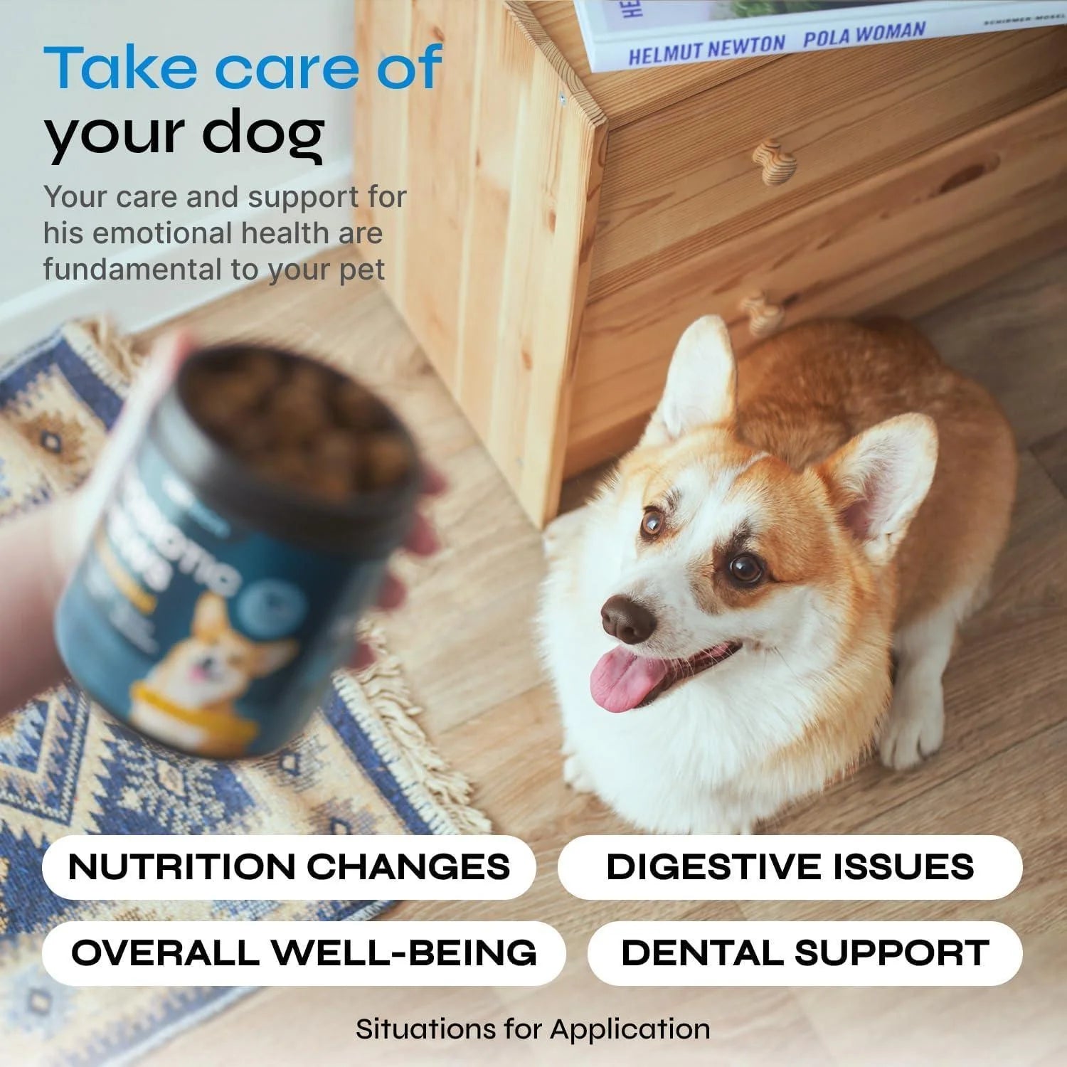 Dog Probiotic Chews - Digestive Health & Immune Support Soft Treats with Wild Yam & Yeast Powder - Bowel & Diarrhea Relief