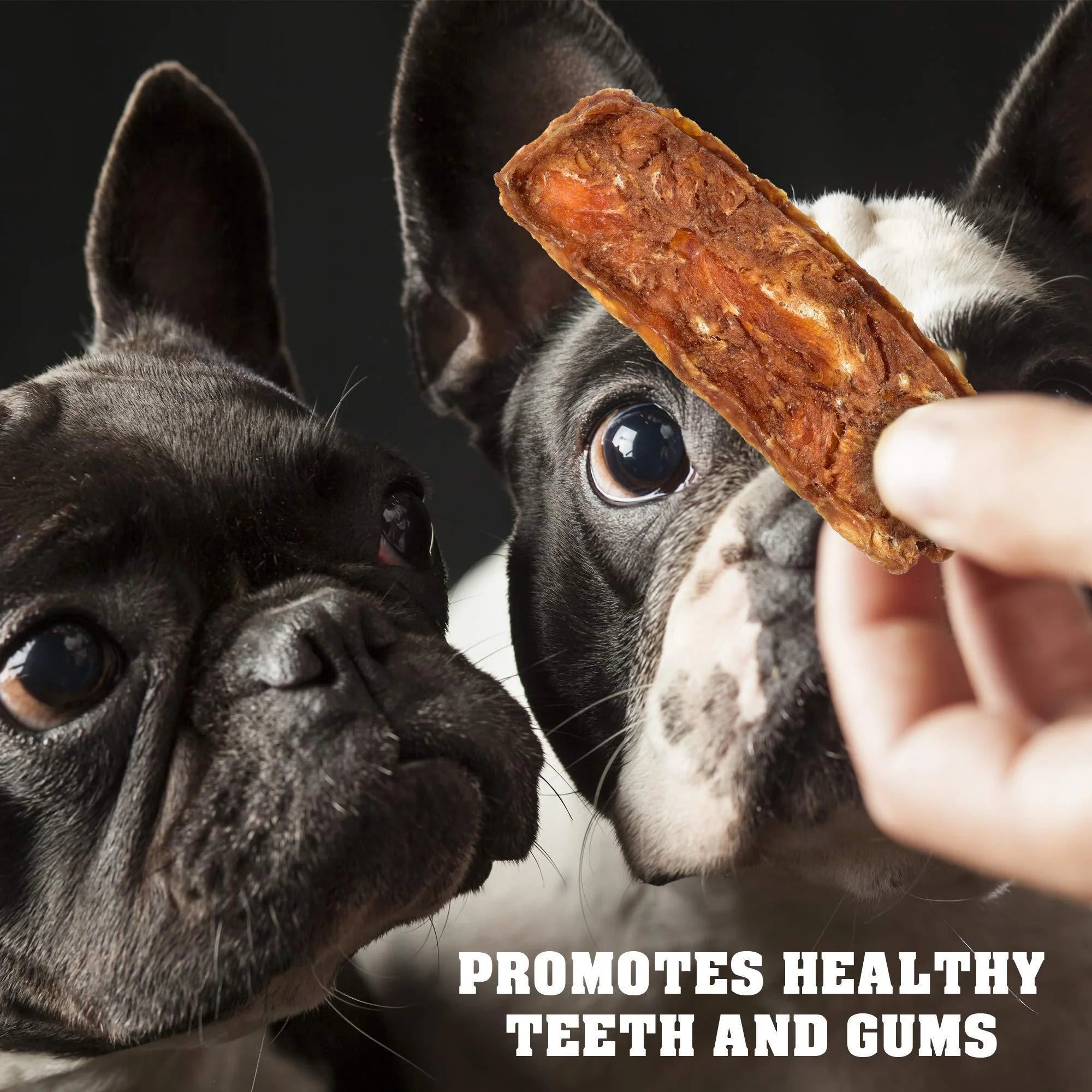 Premium Grain-Free Chicken Jerky Dog Treats - 1.5 Lb Human-Grade Dried Strips for Happy Pups