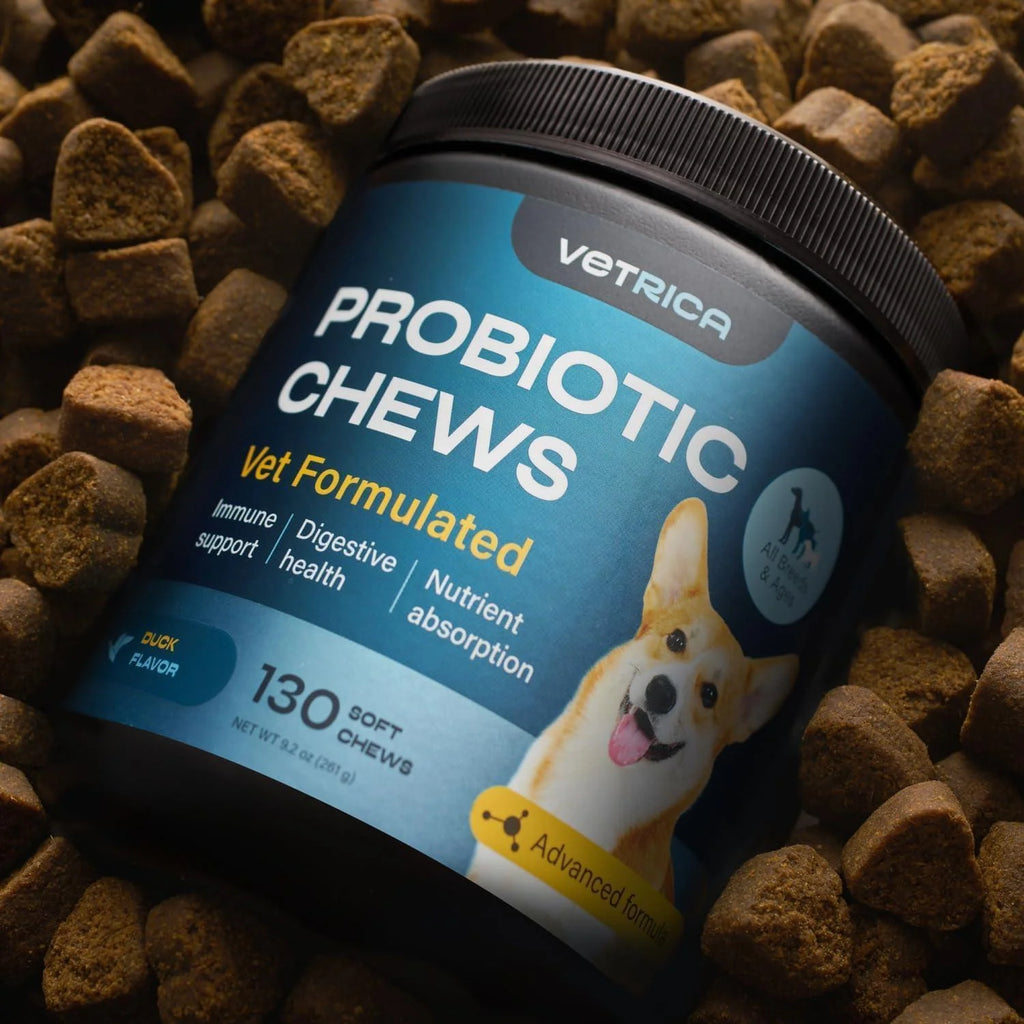 Dog Probiotic Chews - Digestive Health & Immune Support Soft Treats with Wild Yam & Yeast Powder - Bowel & Diarrhea Relief