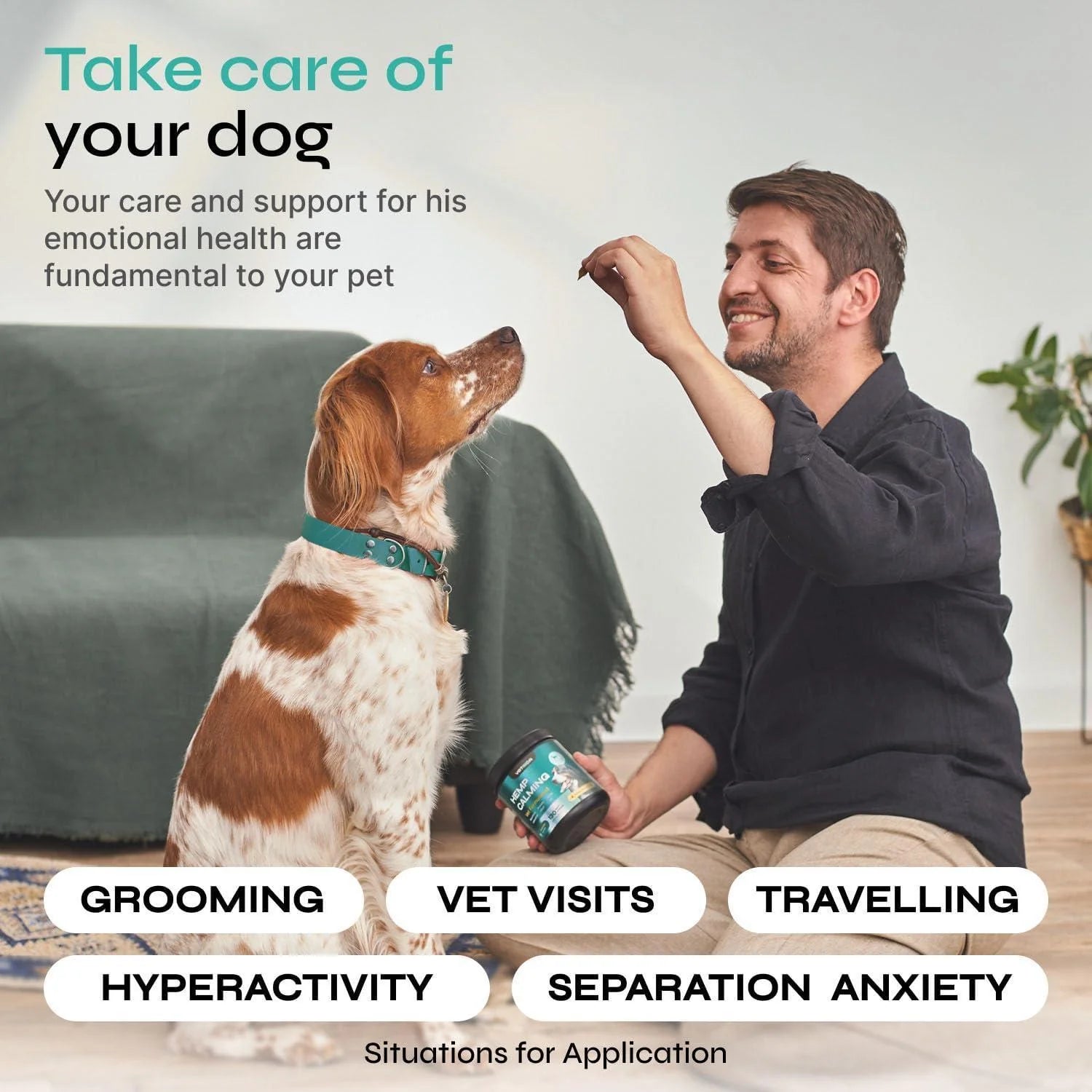 Soothing Hemp Calming Chews for Dogs - Natural Anxiety Relief Treats for Stress, Separation, and Storms