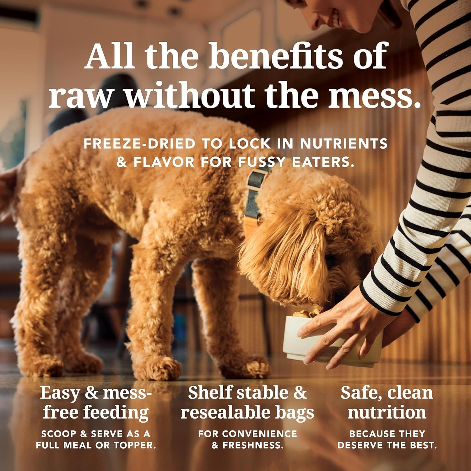 Lamb & King Salmon Freeze Dried Dog Food, High-Meat Natural Complete Meal or Meal Toppers for Dogs, Grass-Fed Lamb & King Salmon from New Zealand, Grain-Free, Gmo-Free, 3.5Oz