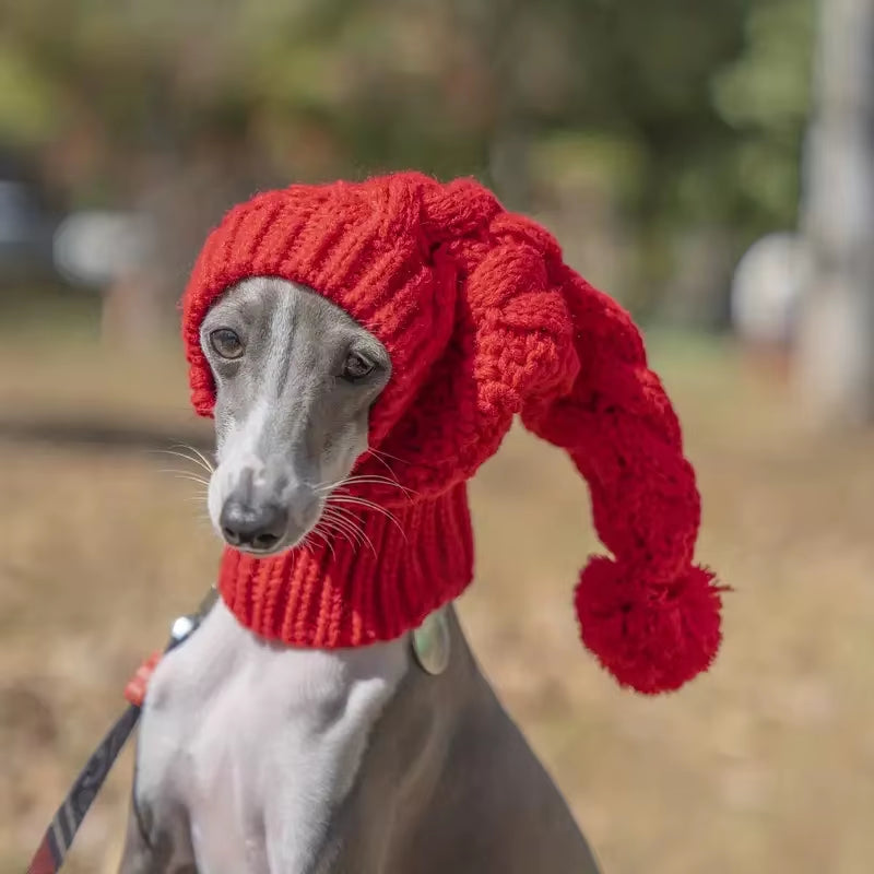 Hand Knit Winter Wool Greyhound Large Dog Beanie Hat Dog Accessories Whippet Snood for Dogs