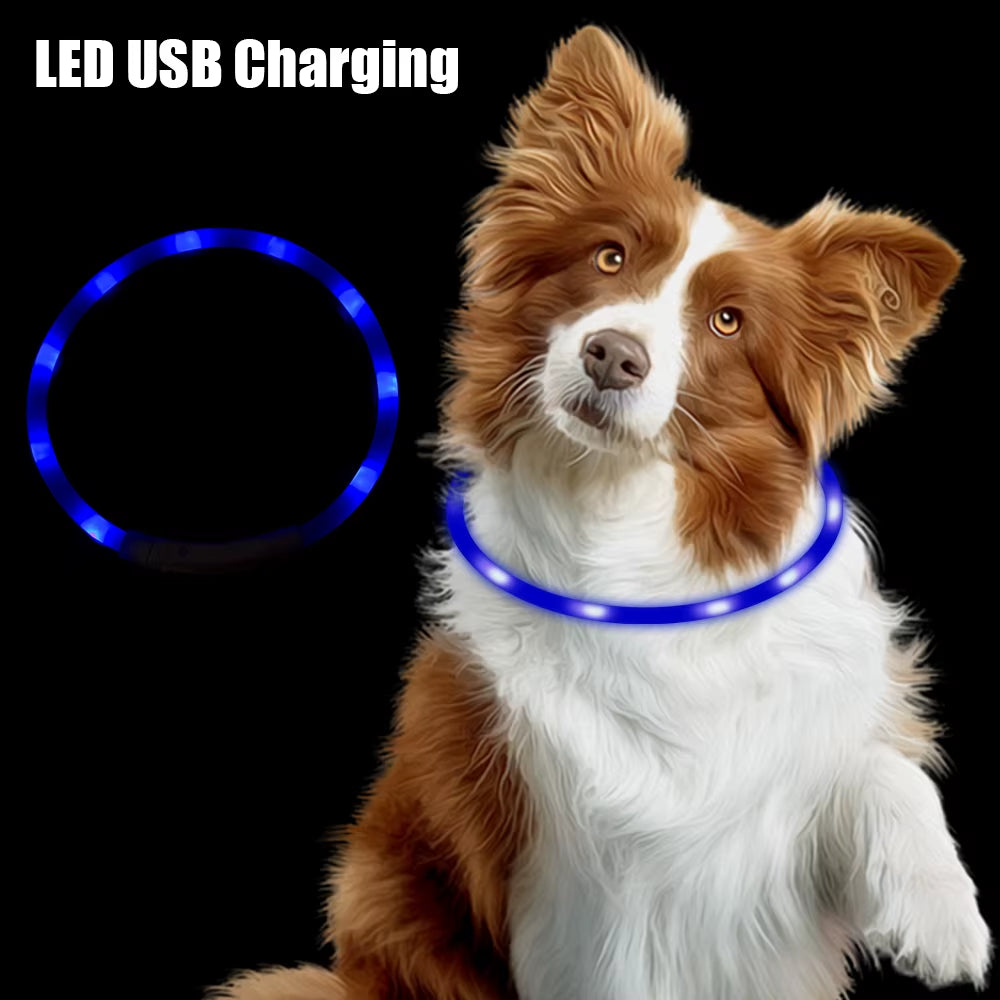 Night Safety Flashing Glow Collar Night Luminous Charge Collar Led Usb Dog Collar Pet Accessories Dog Accessories