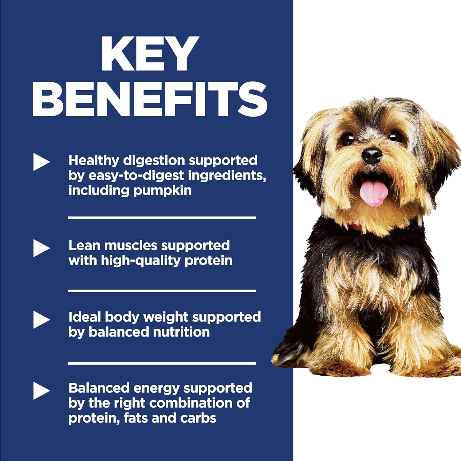 Adult 1-6 Small & Mini Dry Dog Food, Chicken & Brown Rice, 15.5 Lb. Bag