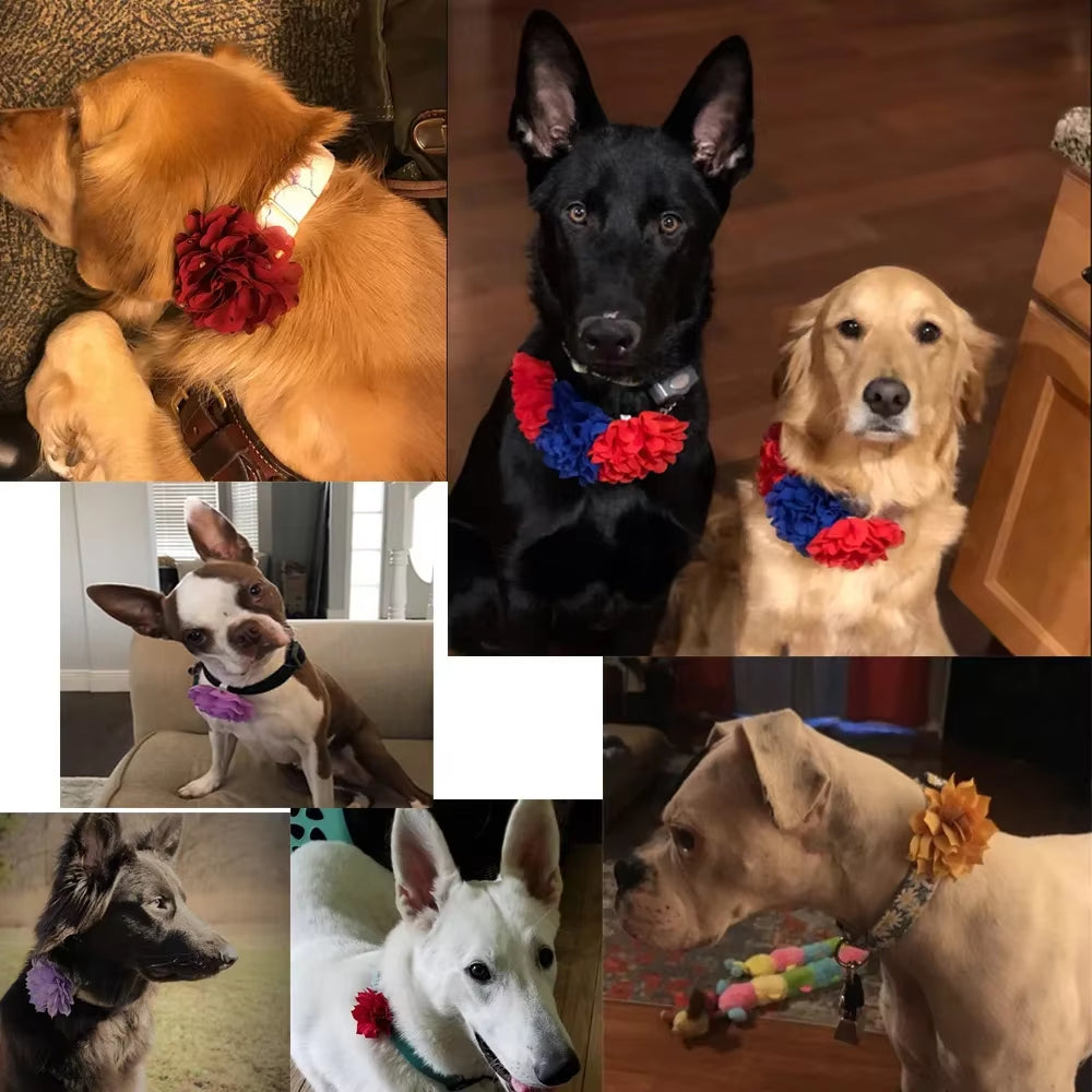 Bulk Flower-Collar Dog Accessories Dog Bow Tie Pet Dog Collar Accessories Flower for Dog Collar Dog Flower Collar Accessory