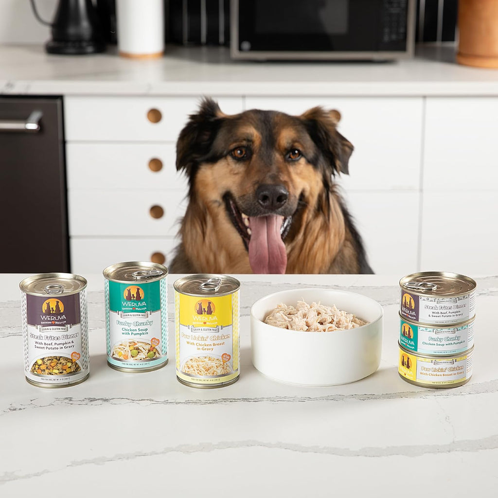 Classic Dog Food, Funky Chunky Chicken Soup with Chicken Breast & Pumpkin in Gravy, 14Oz Can (Pack of 12)