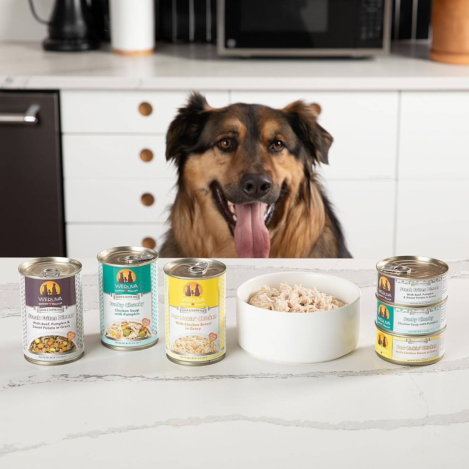 Classic Dog Food, Funky Chunky Chicken Soup with Chicken Breast & Pumpkin in Gravy, 14Oz Can (Pack of 12)
