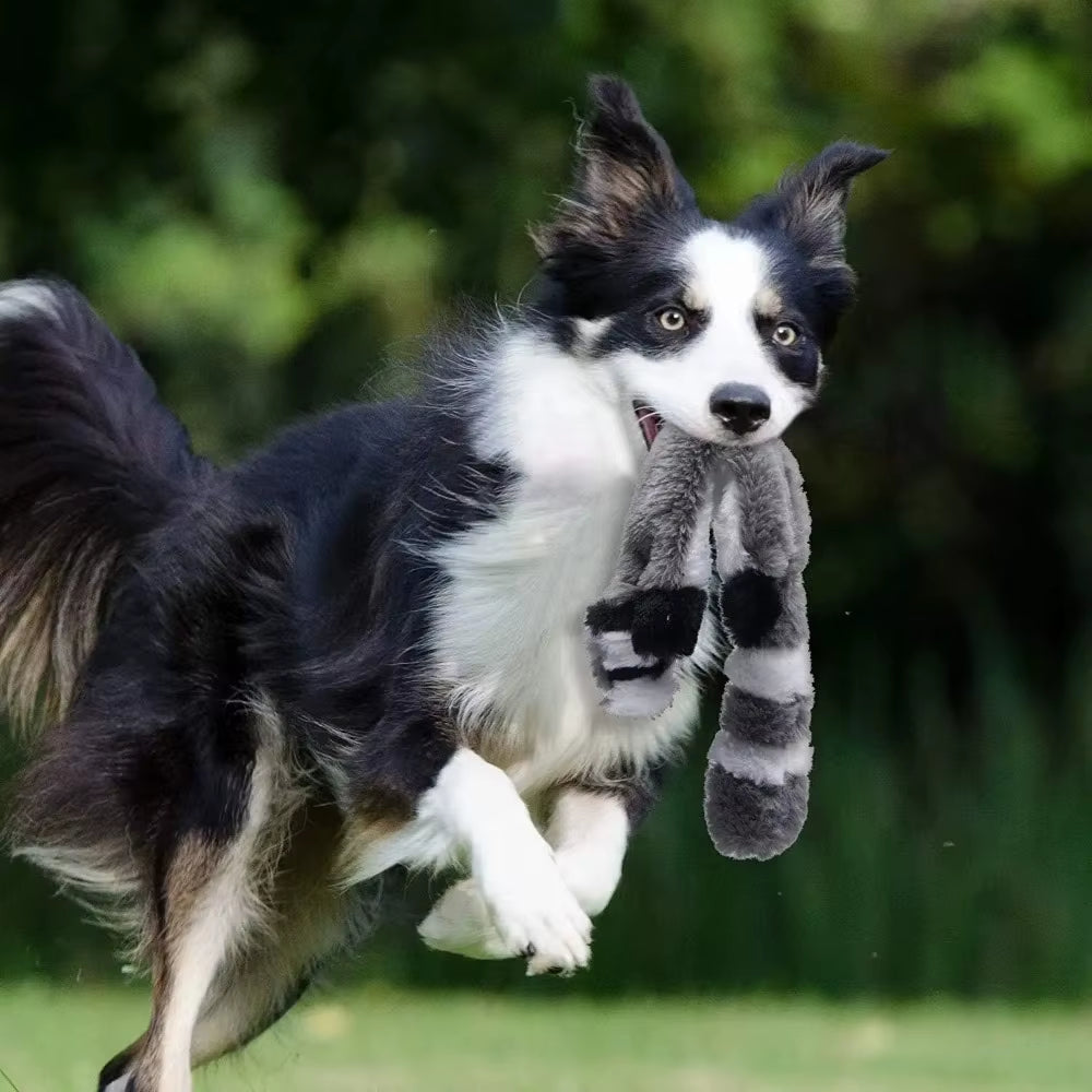 Plush Dog Toys Squirrel Raccoon Fox 18 Inch Stuffing Free Squeaky for Small Medium Dogs No Stuffing with Squeakers Dog Chew Toy