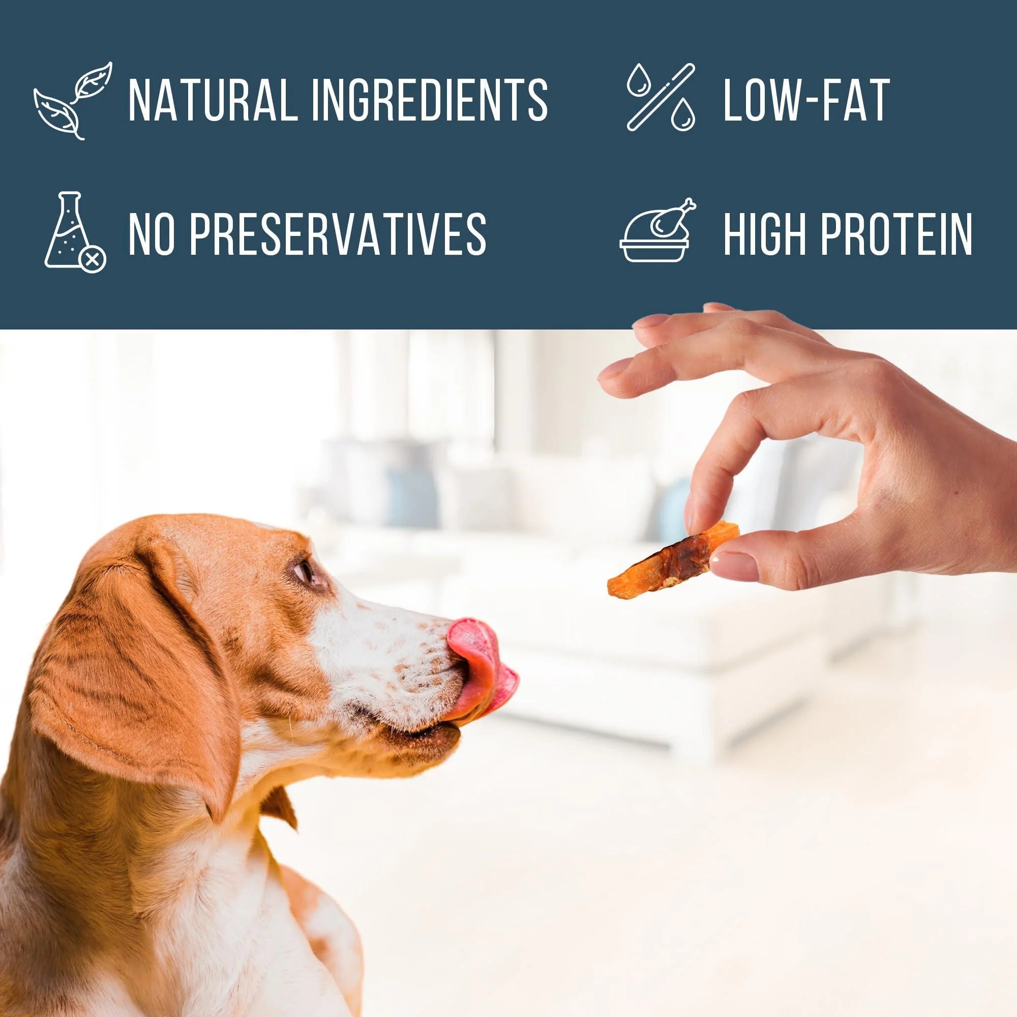 Premium Organic Chicken Jerky Dog Treats - Grain Free, High Protein, All Natural Chews for Training - 24 Oz. Soft Pack with Sweet Potato Flavor - Made in the USA