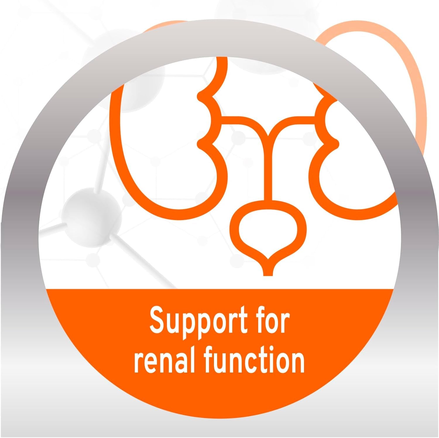 - Dog Food, Vet Formulated Wet Dog Food for Kidney Support, Non-Gmo, Lamb Flavor, Made in Italy (3.5 Oz, 32 Pack)