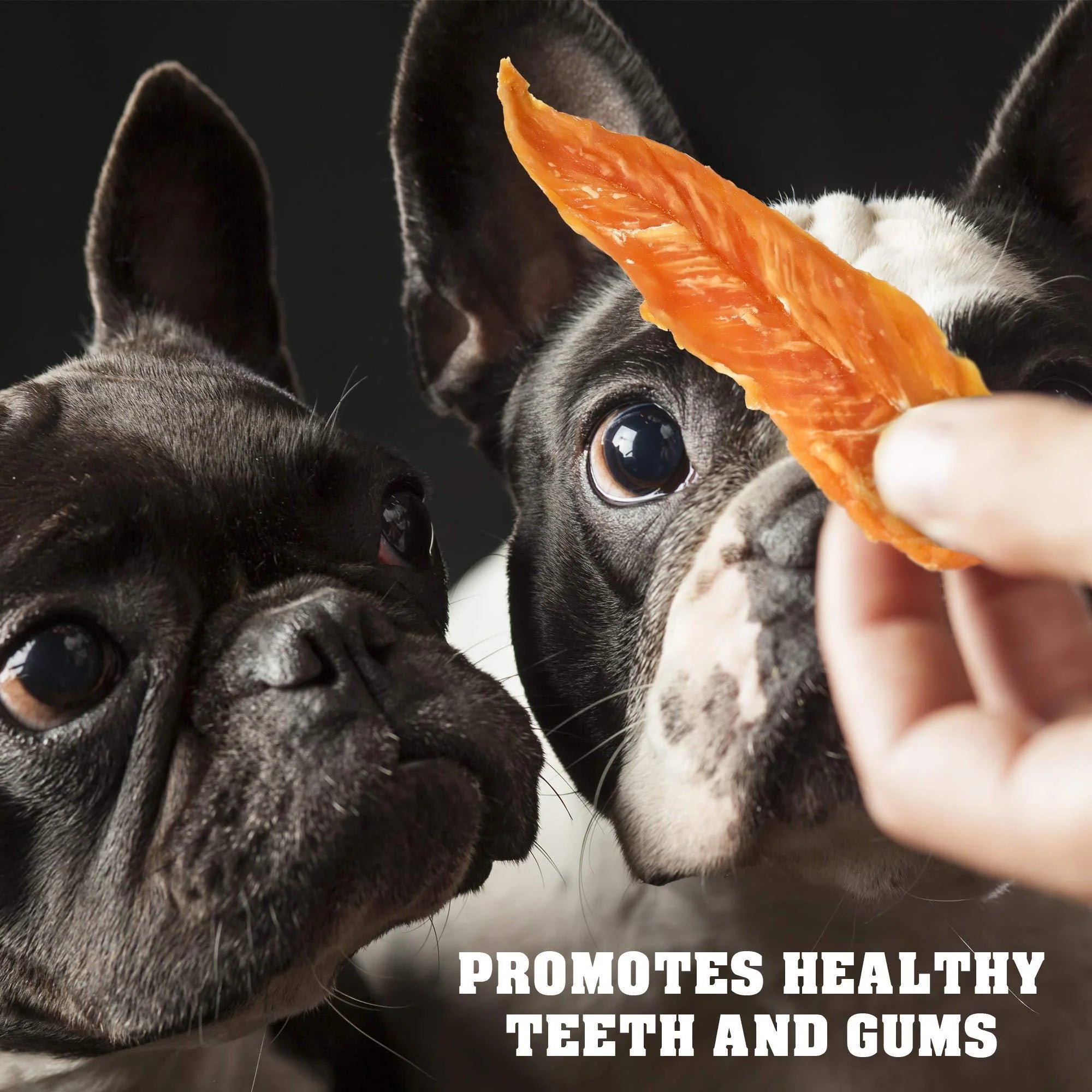Premium Grain-Free Chicken Jerky Dog Treats - 1.5 Lb Organic Human-Grade Snacks for Your Pup